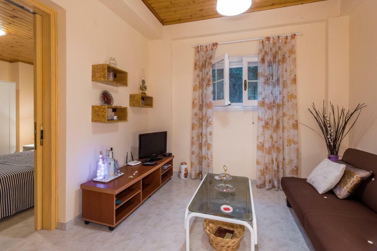 Family Holiday Apartment With Garden & Bbq Velonades  Екстер'єр фото