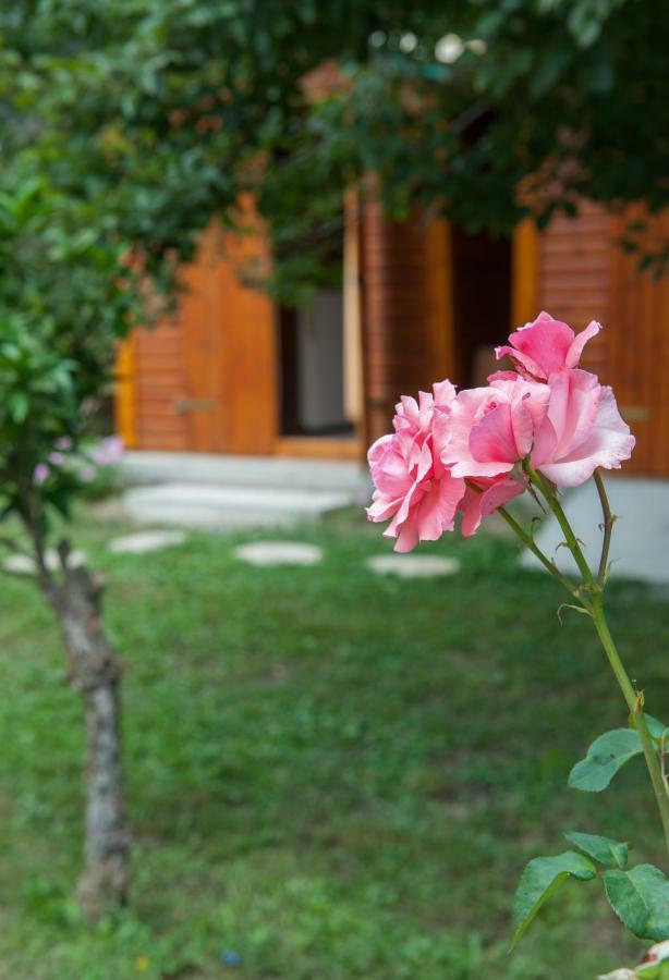Family Holiday Apartment With Garden & Bbq Velonades  Екстер'єр фото